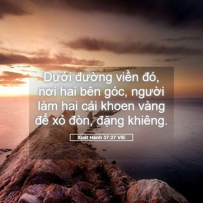 Picture 05 - Xuất Hành 37:27 VIE - Dưới đường viền đó, nơi hai bên - Bible Verse Picture