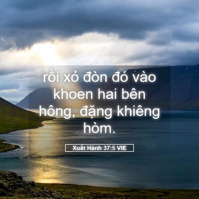 Picture 05 - Xuất Hành 37:5 VIE - rồi xỏ đòn đó vào khoen hai bên hông, - Bible Verse Picture