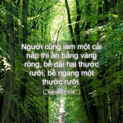 Picture 05 - Xuất Hành 37:6 VIE - Người cũng làm một cái nắp thi ân - Bible Verse Picture
