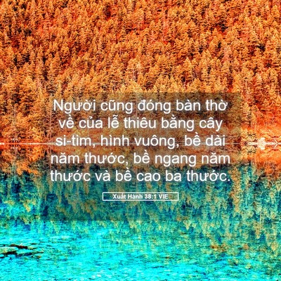 Picture 05 - Xuất Hành 38:1 VIE - Người cũng đóng bàn thờ về của lễ - Bible Verse Picture