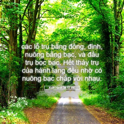 Picture 05 - Xuất Hành 38:17 VIE - các lỗ trụ bằng đồng, đinh, nuông - Bible Verse Picture