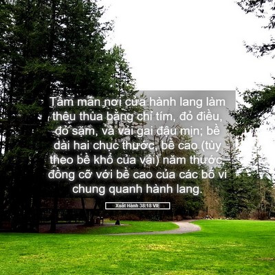 Picture 05 - Xuất Hành 38:18 VIE - Tấm màn nơi cửa hành lang làm thêu thùa - Bible Verse Picture