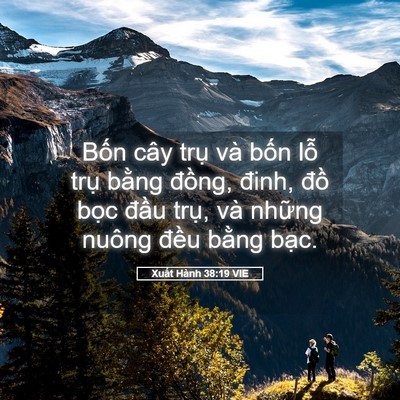 Picture 05 - Xuất Hành 38:19 VIE - Bốn cây trụ và bốn lỗ trụ bằng - Bible Verse Picture
