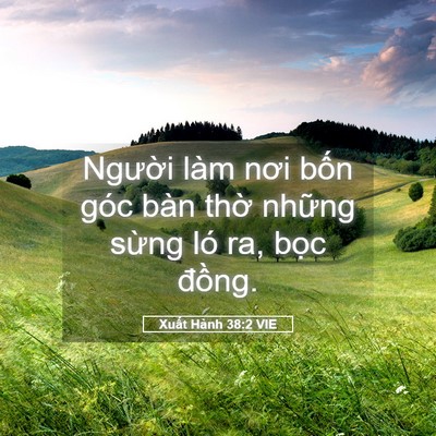 Picture 05 - Xuất Hành 38:2 VIE - Người làm nơi bốn góc bàn thờ những - Bible Verse Picture