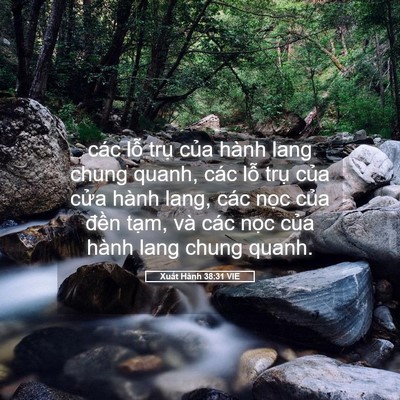 Picture 05 - Xuất Hành 38:31 VIE - các lỗ trụ của hành lang chung quanh, - Bible Verse Picture