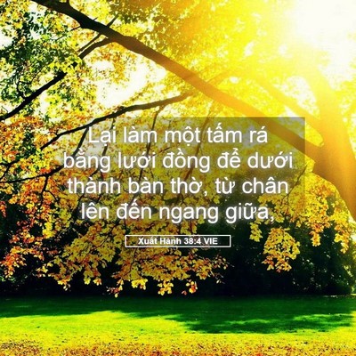 Picture 05 - Xuất Hành 38:4 VIE - Lại làm một tấm rá bằng lưới đồng - Bible Verse Picture