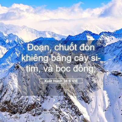 Picture 05 - Xuất Hành 38:6 VIE - Đoạn, chuốt đòn khiêng bằng cây - Bible Verse Picture