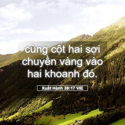 Picture 05 - Xuất Hành 39:17 VIE - cùng cột hai sợi chuyền vàng vào hai - Bible Verse Picture