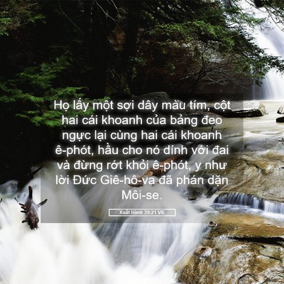 Picture 05 - Xuất Hành 39:21 VIE - Họ lấy một sợi dây màu tím, cột hai - Bible Verse Picture