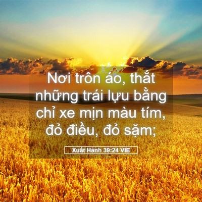 Picture 05 - Xuất Hành 39:24 VIE - Nơi trôn áo, thắt những trái lựu bằng - Bible Verse Picture