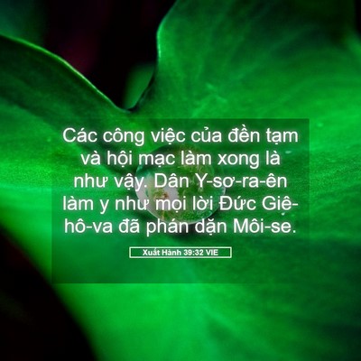 Picture 05 - Xuất Hành 39:32 VIE - Các công việc của đền tạm và hội - Bible Verse Picture