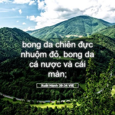 Picture 05 - Xuất Hành 39:34 VIE - bong da chiên đực nhuộm đỏ, bong da cá - Bible Verse Picture