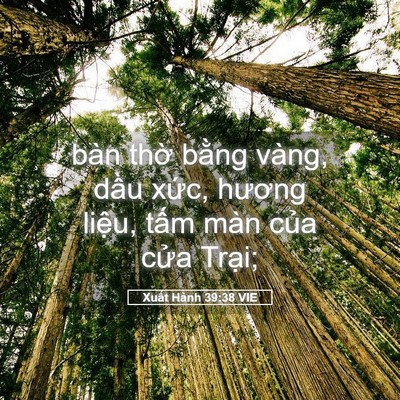 Picture 05 - Xuất Hành 39:38 VIE - bàn thờ bằng vàng, dầu xức, hương - Bible Verse Picture