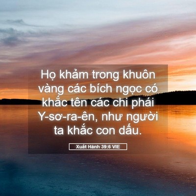 Picture 05 - Xuất Hành 39:6 VIE - Họ khảm trong khuôn vàng các bích ngọc - Bible Verse Picture