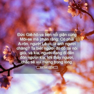 Picture 05 - Xuất Hành 4:14 VIE - Đức Giê-hô-va bèn nổi giận cùng - Bible Verse Picture