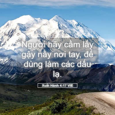Picture 05 - Xuất Hành 4:17 VIE - Ngươi hãy cầm lấy gậy nầy nơi tay, - Bible Verse Picture