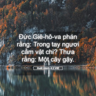 Picture 05 - Xuất Hành 4:2 VIE - Đức Giê-hô-va phán rằng: Trong tay - Bible Verse Picture
