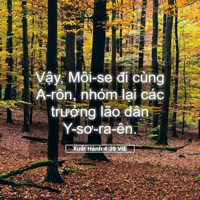 Picture 05 - Xuất Hành 4:29 VIE - Vậy, Môi-se đi cùng A-rôn, nhóm lại các - Bible Verse Picture