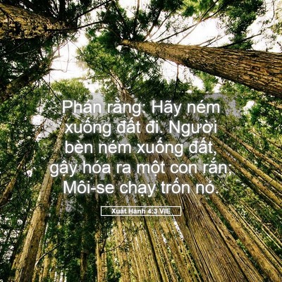 Picture 05 - Xuất Hành 4:3 VIE - Phán rằng: Hãy ném xuống đất đi. - Bible Verse Picture