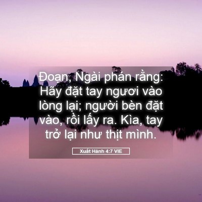 Picture 05 - Xuất Hành 4:7 VIE - Đoạn, Ngài phán rằng: Hãy đặt tay - Bible Verse Picture