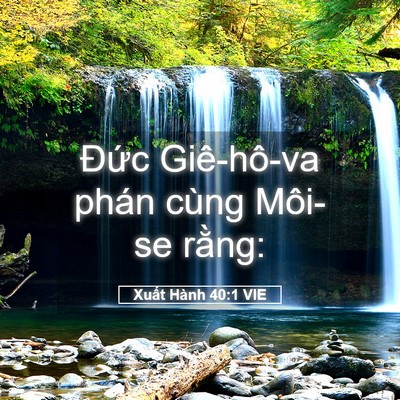 Picture 05 - Xuất Hành 40:1 VIE - Đức Giê-hô-va phán cùng Môi-se - Bible Verse Picture