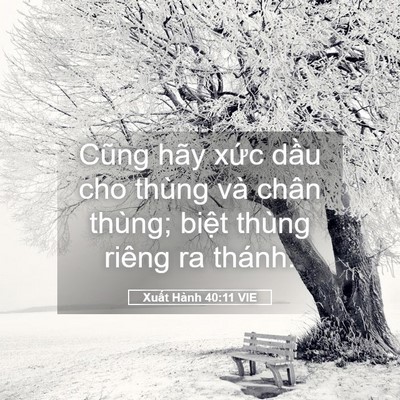 Picture 05 - Xuất Hành 40:11 VIE - Cũng hãy xức dầu cho thùng và chân - Bible Verse Picture