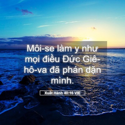 Picture 05 - Xuất Hành 40:16 VIE - Môi-se làm y như mọi điều Đức - Bible Verse Picture