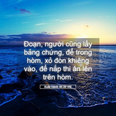 Picture 05 - Xuất Hành 40:20 VIE - Đoạn, người cũng lấy bảng chứng, - Bible Verse Picture