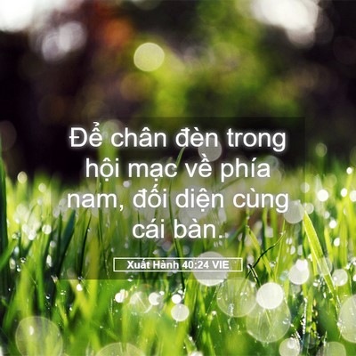 Picture 05 - Xuất Hành 40:24 VIE - Để chân đèn trong hội mạc về phía - Bible Verse Picture