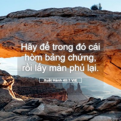 Picture 05 - Xuất Hành 40:3 VIE - Hãy để trong đó cái hòm bảng chứng, - Bible Verse Picture