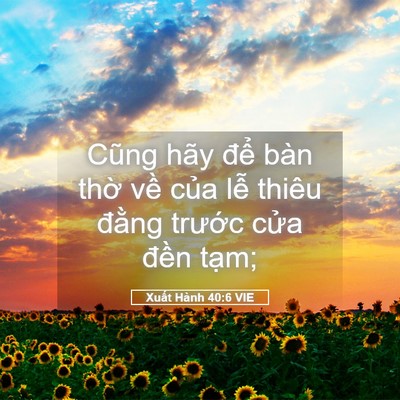 Picture 05 - Xuất Hành 40:6 VIE - Cũng hãy để bàn thờ về của lễ - Bible Verse Picture