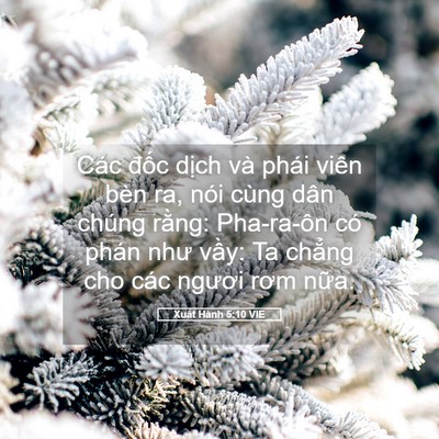 Picture 05 - Xuất Hành 5:10 VIE - Các đốc dịch và phái viên bèn ra, nói - Bible Verse Picture