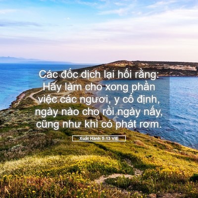 Picture 05 - Xuất Hành 5:13 VIE - Các đốc dịch lại hối rằng: Hãy làm - Bible Verse Picture
