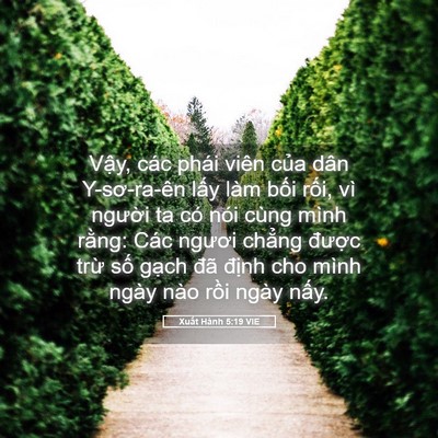 Picture 05 - Xuất Hành 5:19 VIE - Vậy, các phái viên của dân Y-sơ-ra-ên - Bible Verse Picture