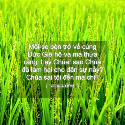 Picture 05 - Xuất Hành 5:22 VIE - Môi-se bèn trở về cùng Đức Giê-hô-va - Bible Verse Picture