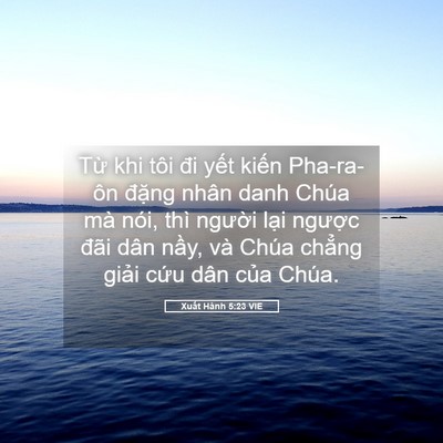 Picture 05 - Xuất Hành 5:23 VIE - Từ khi tôi đi yết kiến Pha-ra-ôn đặng - Bible Verse Picture