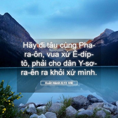 Picture 05 - Xuất Hành 6:11 VIE - Hãy đi tâu cùng Pha-ra-ôn, vua xứ - Bible Verse Picture