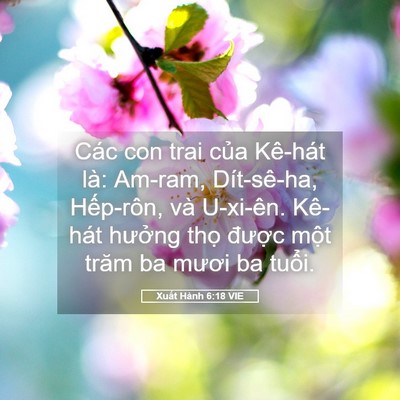 Picture 05 - Xuất Hành 6:18 VIE - Các con trai của Kê-hát là: Am-ram, - Bible Verse Picture