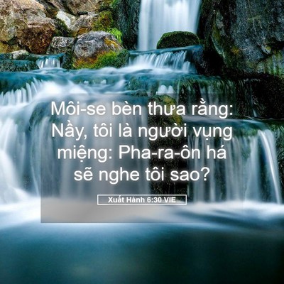 Picture 05 - Xuất Hành 6:30 VIE - Môi-se bèn thưa rằng: Nầy, tôi là - Bible Verse Picture
