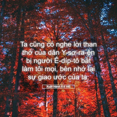 Picture 05 - Xuất Hành 6:5 VIE - Ta cũng có nghe lời than thở của dân - Bible Verse Picture