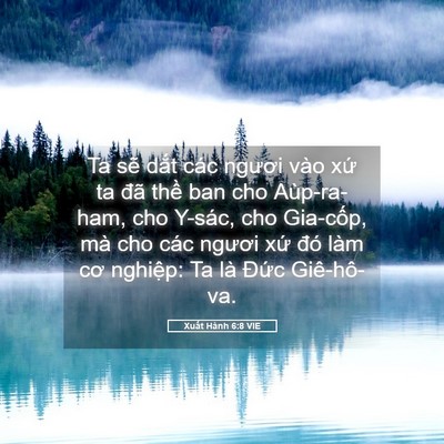 Picture 05 - Xuất Hành 6:8 VIE - Ta sẽ dắt các ngươi vào xứ ta đã - Bible Verse Picture