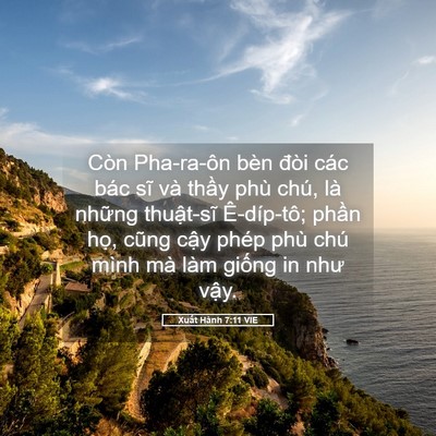 Picture 05 - Xuất Hành 7:11 VIE - Còn Pha-ra-ôn bèn đòi các bác sĩ và - Bible Verse Picture