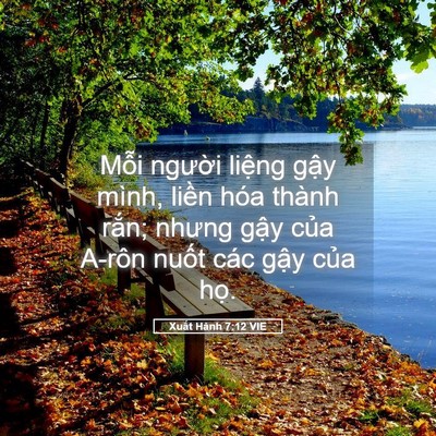 Picture 05 - Xuất Hành 7:12 VIE - Mỗi người liệng gậy mình, liền hóa - Bible Verse Picture