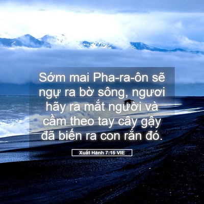 Picture 05 - Xuất Hành 7:15 VIE - Sớm mai Pha-ra-ôn sẽ ngự ra bờ sông, - Bible Verse Picture