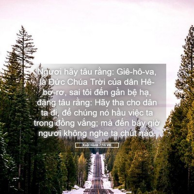 Picture 05 - Xuất Hành 7:16 VIE - Ngươi hãy tâu rằng: Giê-hô-va, là Đức - Bible Verse Picture