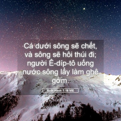 Picture 05 - Xuất Hành 7:18 VIE - Cá dưới sông sẽ chết, và sông sẽ - Bible Verse Picture