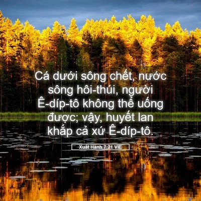 Picture 05 - Xuất Hành 7:21 VIE - Cá dưới sông chết, nước sông - Bible Verse Picture
