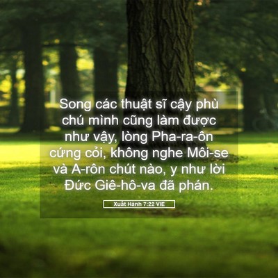 Picture 05 - Xuất Hành 7:22 VIE - Song các thuật sĩ cậy phù chú mình cũng - Bible Verse Picture
