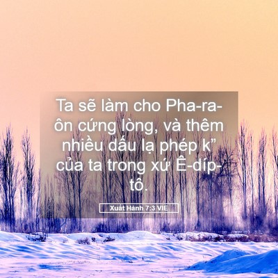 Picture 05 - Xuất Hành 7:3 VIE - Ta sẽ làm cho Pha-ra-ôn cứng lòng, và - Bible Verse Picture