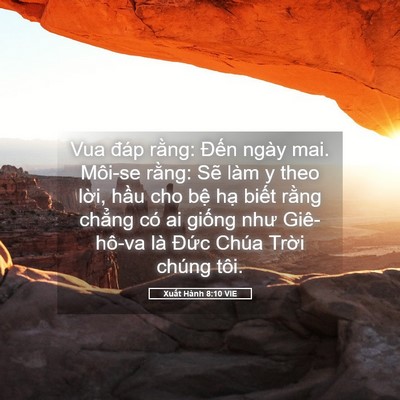 Picture 05 - Xuất Hành 8:10 VIE - Vua đáp rằng: Đến ngày mai. Môi-se - Bible Verse Picture